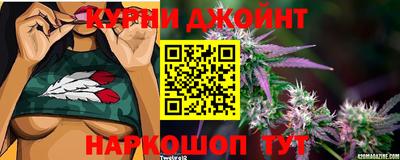 мдма Камышлов