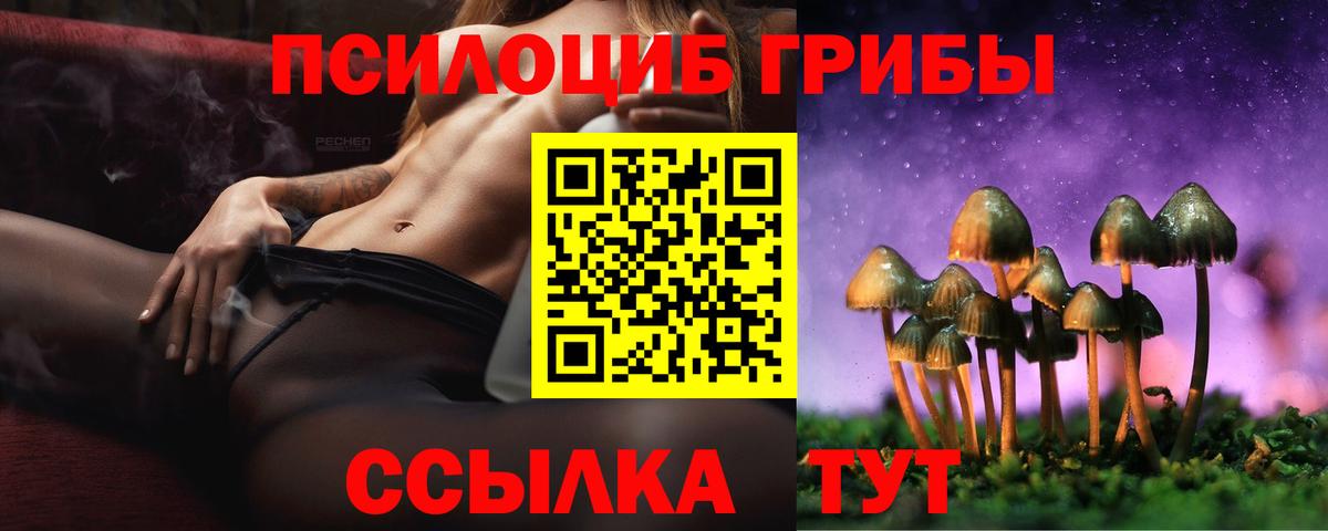 Галлюциногенные грибы Magic Shrooms  Вход с VPN  Киржач  Псилоцибиновые грибы ЛСД 